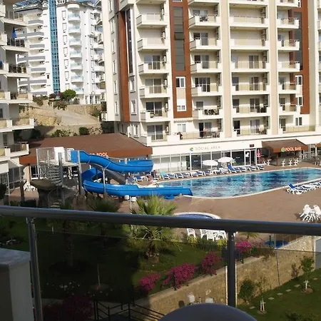 Orion Zara 20 *