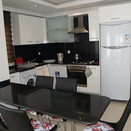 Orion Zara 20 * Avsallar